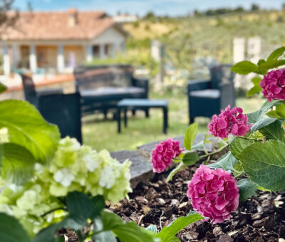 Giardino con aiuola con ortensie in primo piano e divanetti sullo sfondo