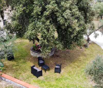 Relax all'ombra del nostro leccio