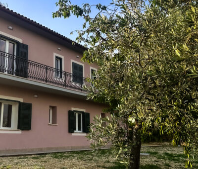 Foto della parte posteriore dell'agriturismo con ulivo in primo piano