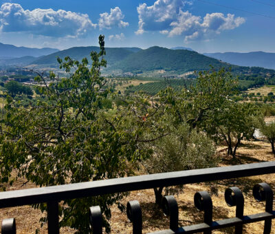 Panorama dal balcone posteriore, con vista sulla piscina